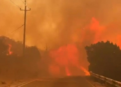Мегапожар в Дюрсо потушили: ущерб может обойтись в сотни миллионов 