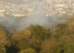 "Легкие" Новороссийска до сих пор полностью не потушили