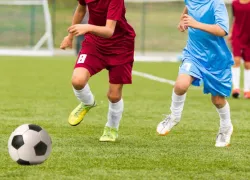 Цена вопроса - 4,77 миллиона рублей: под Новороссийском построят современное футбольное поле 