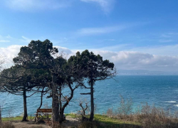 Погода в Новороссийске: на целый день в город вернётся лето