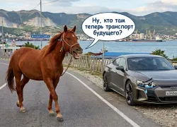 Топ-10 способов выжить в Новороссийске без бензина 