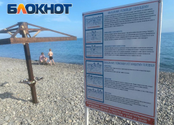"Не нужны нам такие арендаторы": какие недостатки на пляжах Новороссийска обнаружила полиция