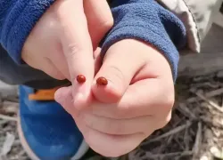 Звезды улыбнулись Близнецам, а Львам подарили важное знакомство