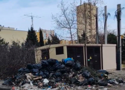 В Новороссийске Пионерская роща утопает в мусоре