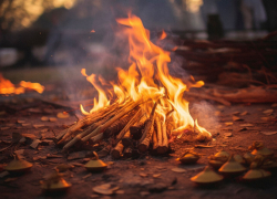 В Новороссийске объявили 5 класс пожароопасности: чрезвычайно жарко 