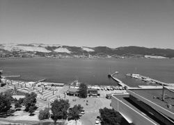 «Воняет ужасно!» - жители Новороссийска задыхаются от запаха нефтепродуктов 