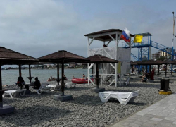 Водоросли с пляжа убрать нельзя! Чиновники Новороссийска дали ответ отдыхающим