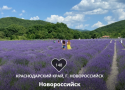 «Маршрут построен»: Новороссийск сражается за звание лучшего «Туристического города»