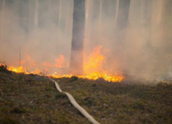 В Новороссийске на горе Колдун произошел крупный пожар