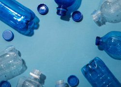 Менеджера одного из предприятий Новороссийска обвинили в крупном мошенничестве