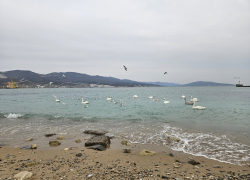 Гороскоп от «Блокнота»: у Львов романтические приключения, а у Дев сегодня всё будет получаться