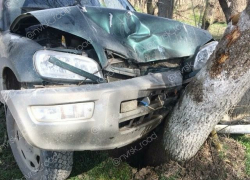Владельцу джипа из Новороссийска дерево бросилось под капот