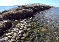 Новороссийцам не стоит ходить на остров Суджук и ехать на песчаные пляжи  — начались тягуны