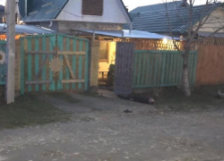 Двумя смертями закончились соседские разборки у новороссийских соседей