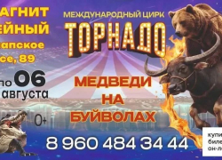 Чудес много не бывает! В Новороссийск приехали «Медведи на буйволах»