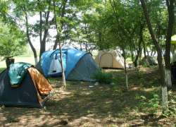 Следствием семейной разборки в палатке стали два трупа