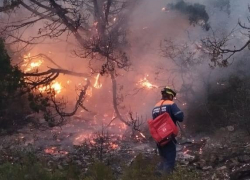 62 гектара огня: причину пожара под Новороссийском смогут установить после тушения 