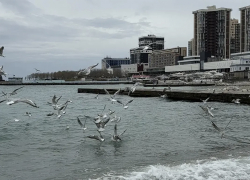 Погода в Новороссийске: день понравится любителям дождя 