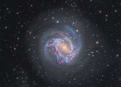  Гороскоп от “Блокнота” на 4 июля: Овны осуществят задуманное, а Львы смогут проявить лидерские качества