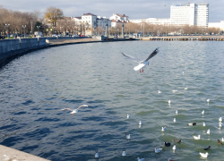  Самый тёплый день недели: о погоде в Новороссийске 2 марта