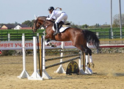 "Серебро" привезла новороссийская спортсменка с первенства Юга по конкуру