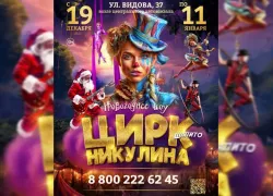 Цирк Никулина: Новогоднее цирковое шоу приезжает в Новороссийск!