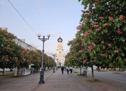 Православные новороссийцы отмечают День Святой Троицы: что запрещено делать в этот праздник
