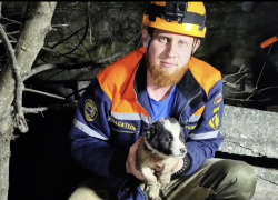 Из плиты виднелась одна голова: в Новороссийске прошла «ювелирная» операция по спасению щенка 