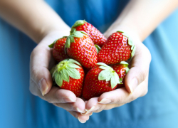 Ягода с золотым отливом: в Новороссийске начали продавать клубнику