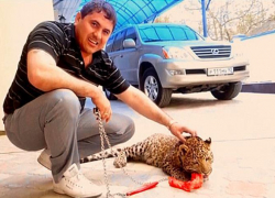 Первый пошел: арестовали бывшего директора Новороссийской управляющей компании