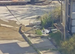 На котельной в Новороссийске хлещет фонтан: горожане любуются из окон 