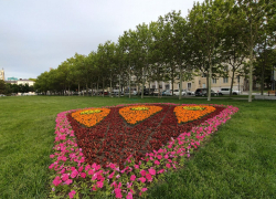 Погода в Новороссийске: с каждым днём становится теплее 