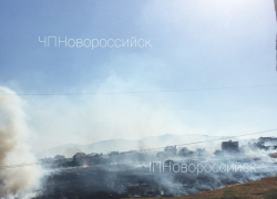 В Новороссийске горят бывшие виноградники