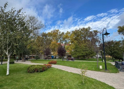 «Зеленый каркас»: Новороссийск меняет городскую среду