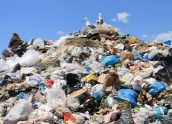 Новороссийский полицейский, рискуя жизнью, задержал мужчину, подозреваемого в убийстве