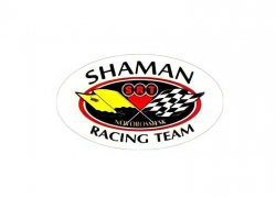 SHAMAN motors. Профессиональный ремонт ДСГ