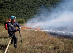 Почти 3 гектара леса горело на одной из вершин Новороссийска