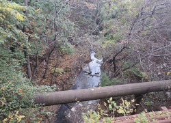 Новороссийцы превращают ручей в Южном районе в стихийную свалку