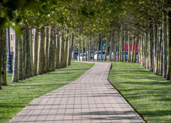 Погода в Новороссийске: +35 и ветрено