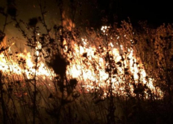 Вспыхнувшую траву под Новороссийском тушить пришлось почти 3 часа