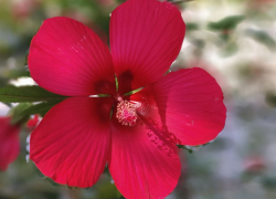 Гороскоп от «Блокнота»: Козерогам пришло время отдохнуть, а Львы будут удивлять