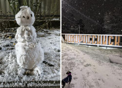 В Новороссийске выпал первый снег: фото от жителей и прогноз на неделю 