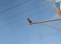 В Новороссийске жители закрасили камеру скоростного режима на улице Осоавиахима