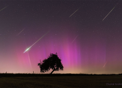 Гороскоп от “Блокнота” на 15 августа: Близнецам звезды рекомендуют провести время наедине с собой, а Весам — в компании друзей