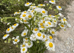 Гороскоп от «Блокнота»: у Скорпионов изменения в личной жизни, а Стрельцы найдут приключения