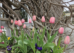 Гороскоп от «Блокнота»: близнецам нужно принять реальность, а львам выйти из зоны комфорта 