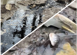 Чернеют реки, мрет рыба: эколог назвал глупой халатностью загрязнение Озерейки в Новороссийске