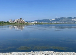 Ученый обнаружил в Суджукской лагуне исчезнувший вид водорослей 