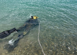 «Добыча» водолазов: что необычного достали с морского дна в Новороссийске 