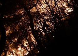 Гектар леса выгорел на горе Колдун